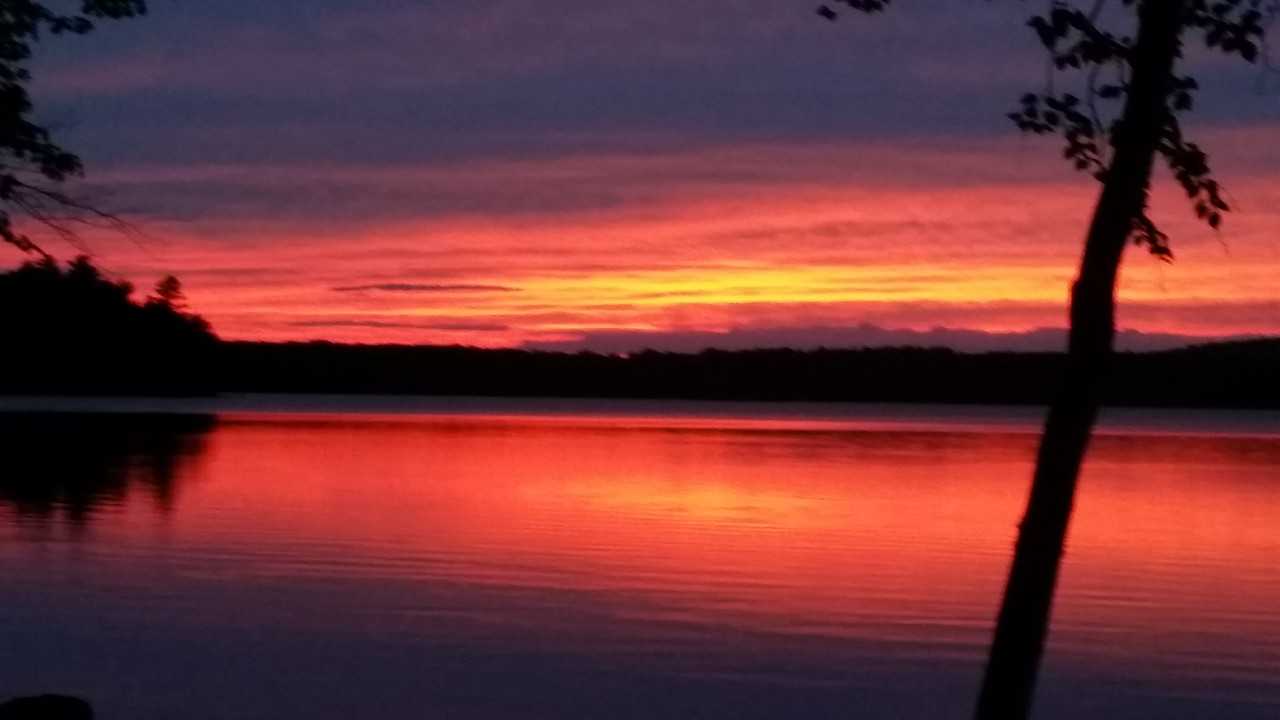 113 Larry Dr #NA - Photo 2 of 34