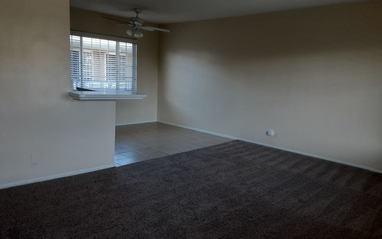 KENT - Photo 6 of 11