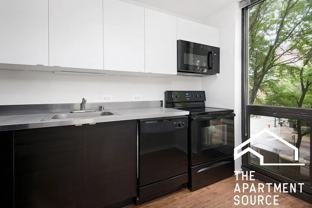 1000 N La Salle Dr #207 - Photo 1 of 1