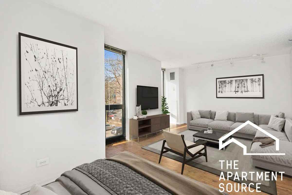 1000 N La Salle Dr #207 - Photo 3 of 23