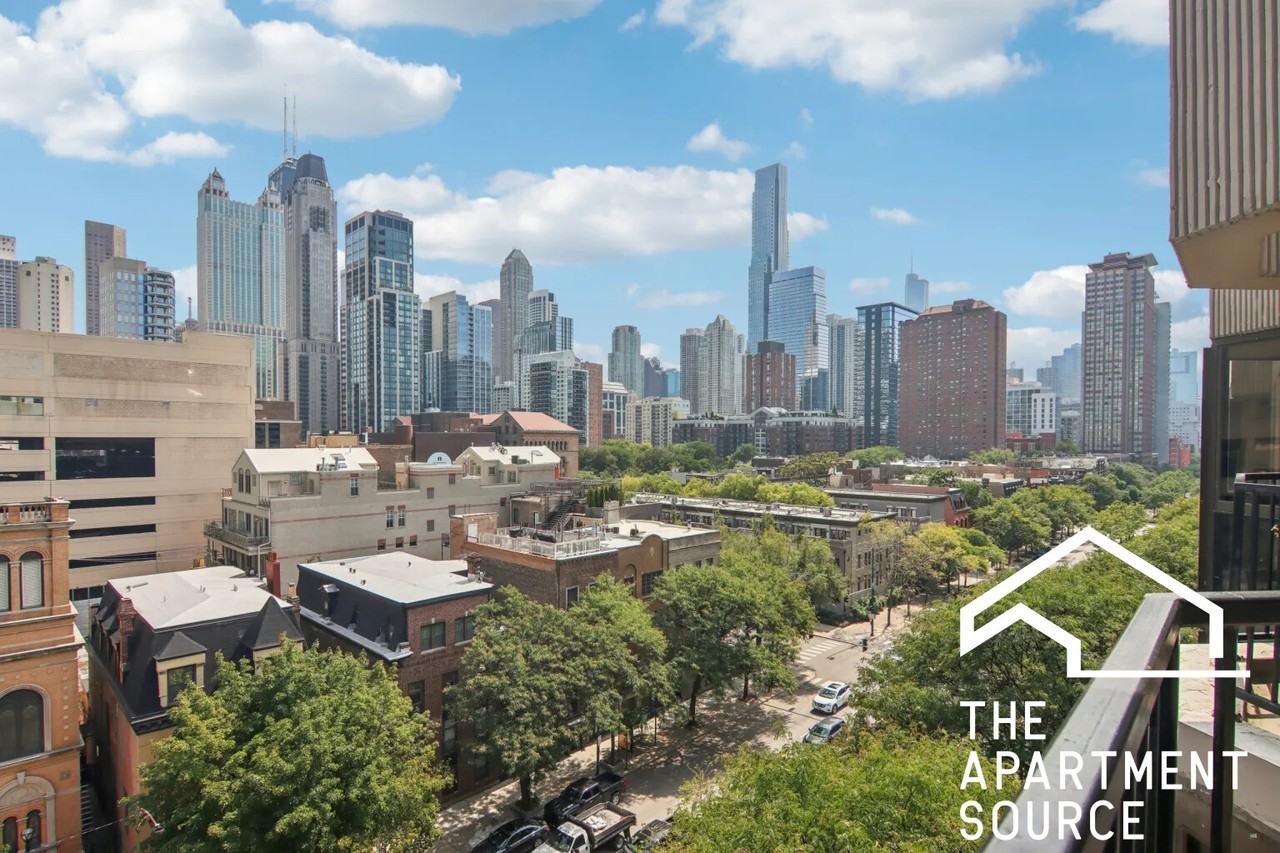 1000 N La Salle Dr #207 - Photo 4 of 23