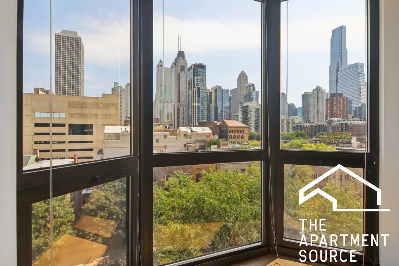 1000 N La Salle Dr #207 - Photo 6 of 23