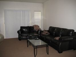 featured image of 389 Belmont Pl