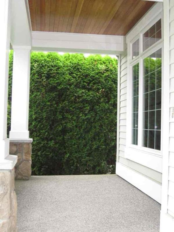 27318 Se 8th Pl - Photo 3 of 19