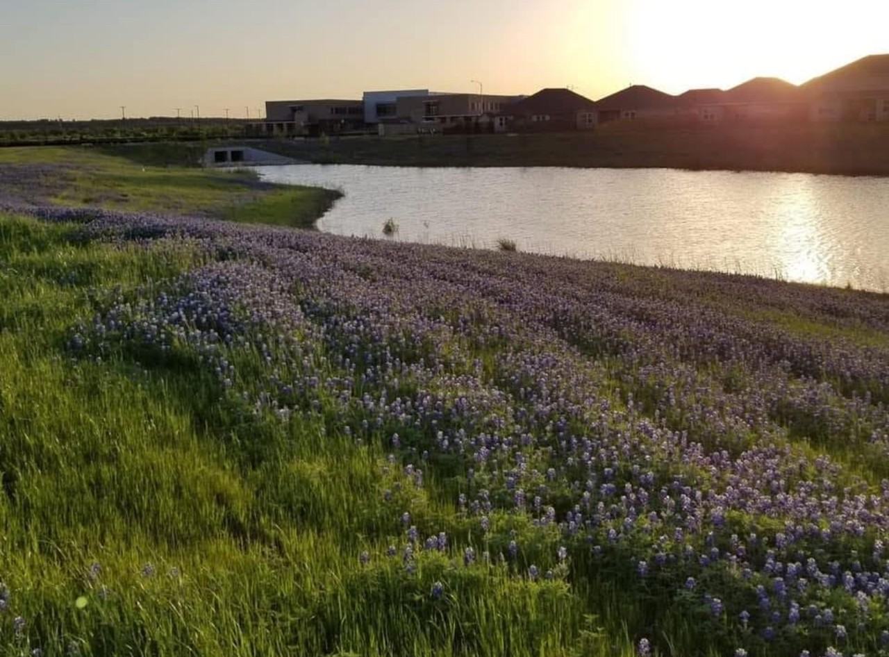 13108 Chapala Way #NA - Photo 2 of 27