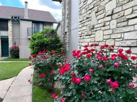 featured image of 3601 Willow Springs Rd