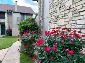 Woodwillow Townhomes - Photo 1 of 1