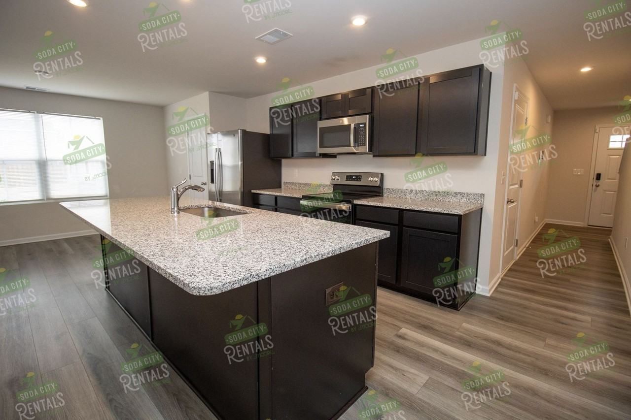 1006 Bermuda Cedar Ln - Photo 3 of 18