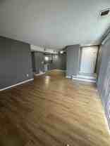 spacious 1 bedroom - Photo 1 of 1