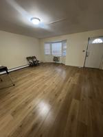 featured image of Zerega Ave