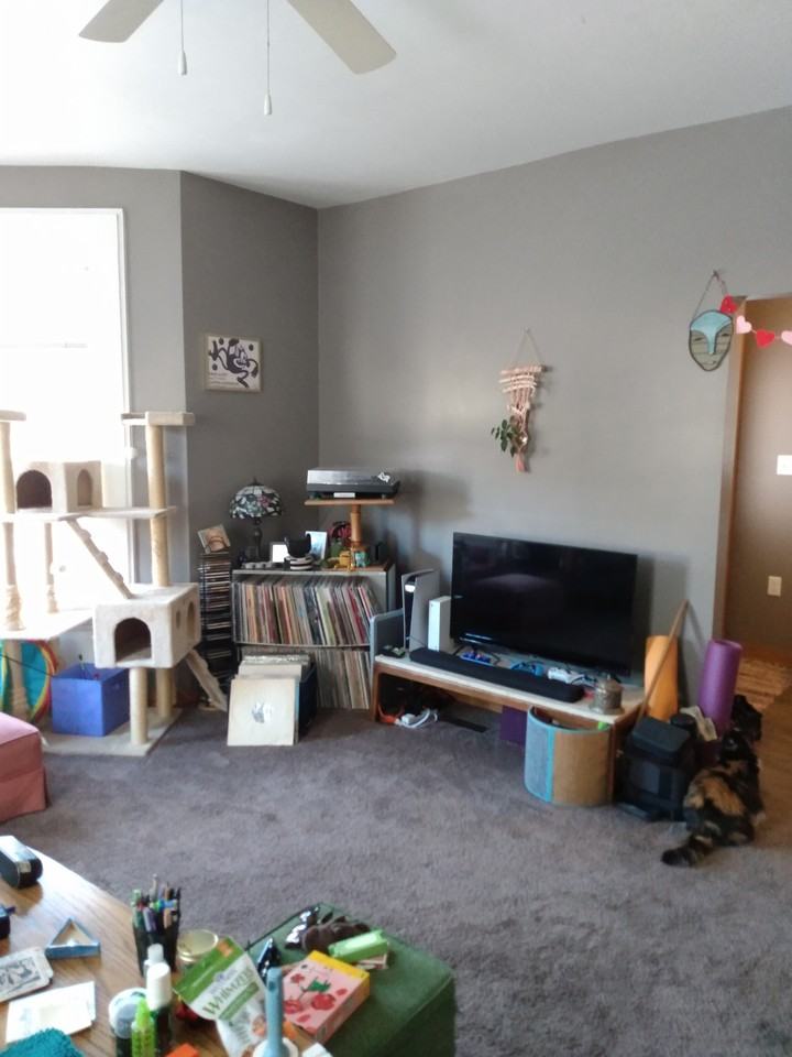 1173 E Madison St - Photo 3 of 30