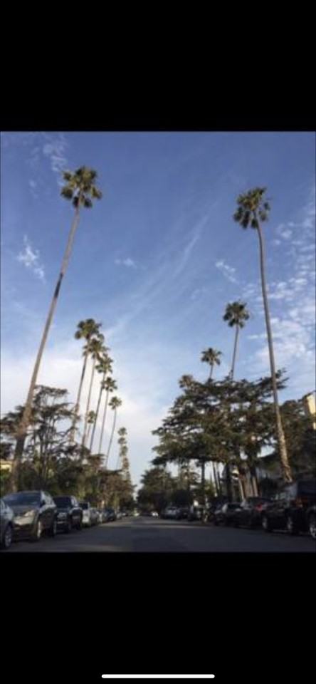 827 Ninth St - Photo 3 of 6