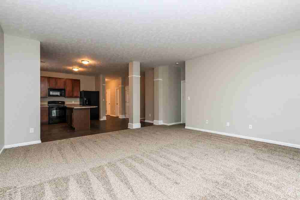 5123 Coloma Ct - Photo 6 of 15