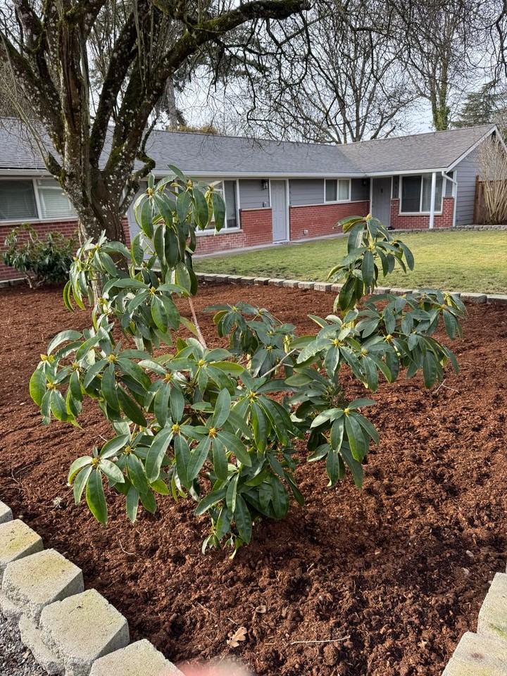 8614 Meadow Rd Sw - Photo 3 of 24