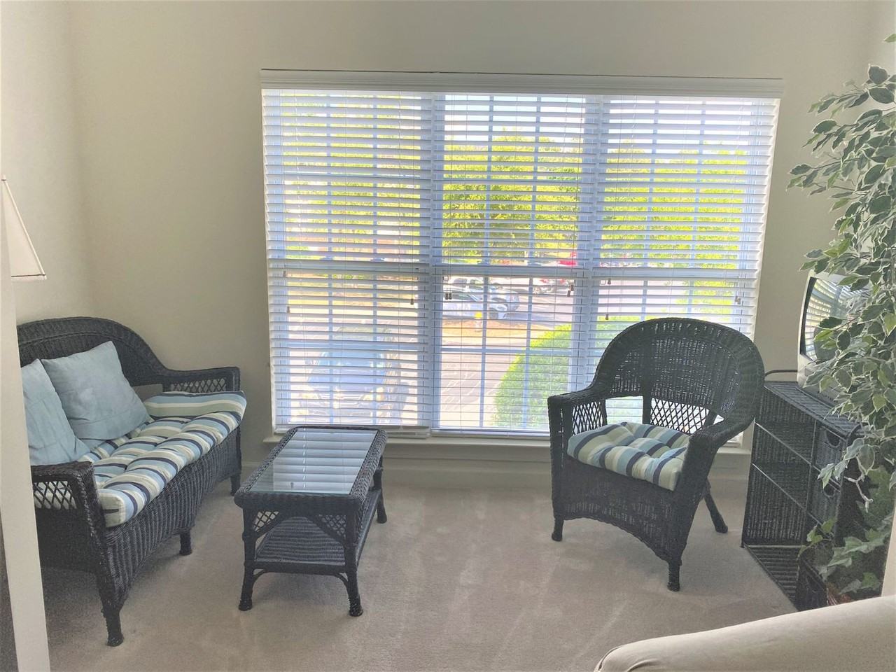 2808 Bloomfield Ln #208 - Photo 6 of 21