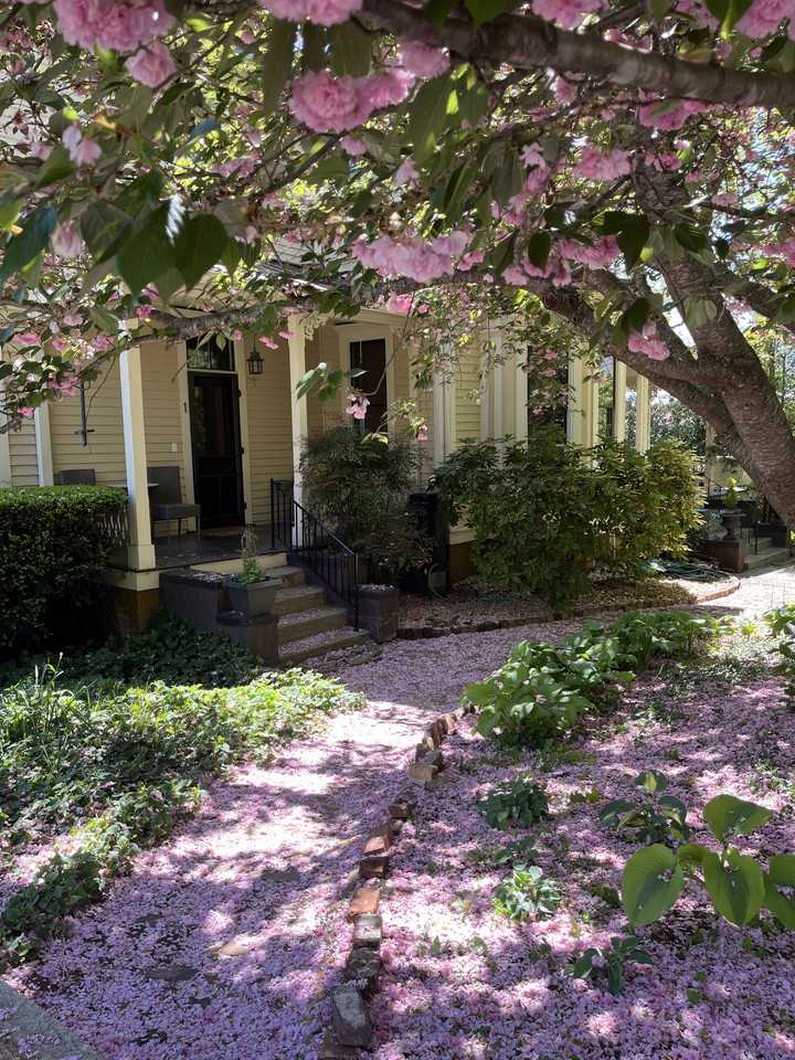 147 East Chestnut Street - Photo 2 of 12