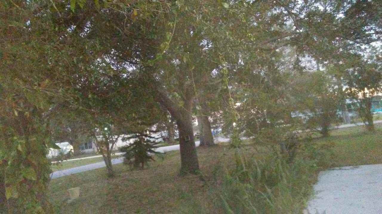 17405 Brinkerhoff Lane #NA - Photo 3 of 20