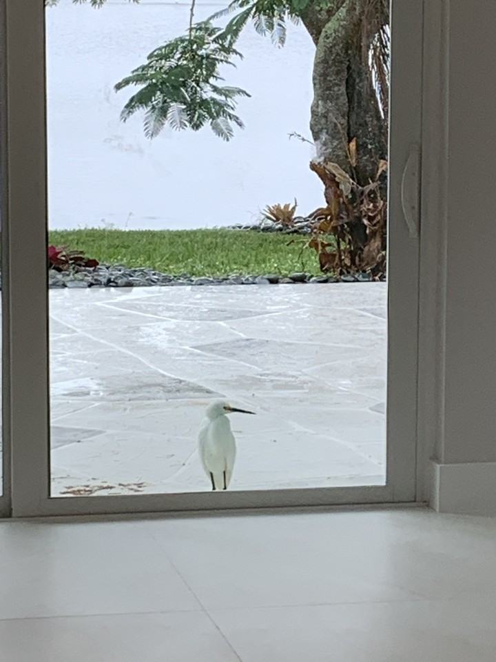 4972 Se Mariner Village Ln #NA - Photo 6 of 17