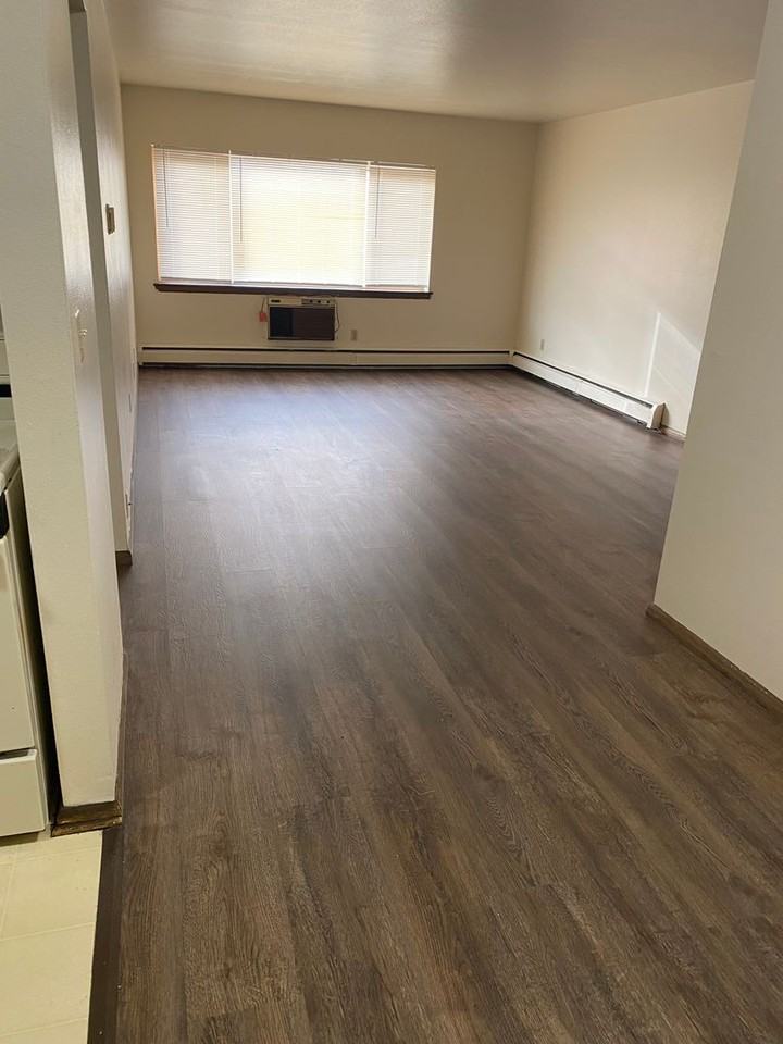 Spacious 1bedroom apartment - Photo 3 of 16