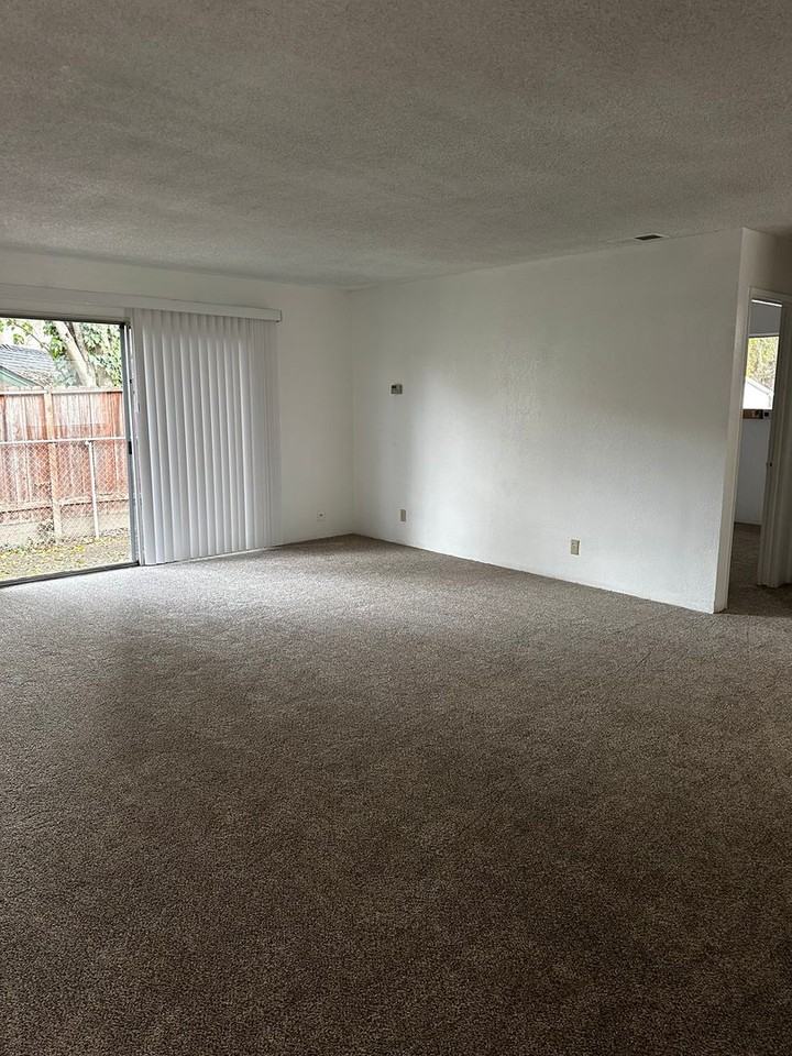 8865 Amapoa Ave #C - Photo 6 of 14