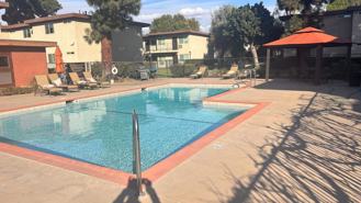 Los Arboles Apartments - Photo 1 of 1