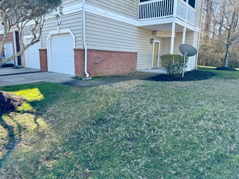206 Adams Creek Rd - Photo 2 of 19
