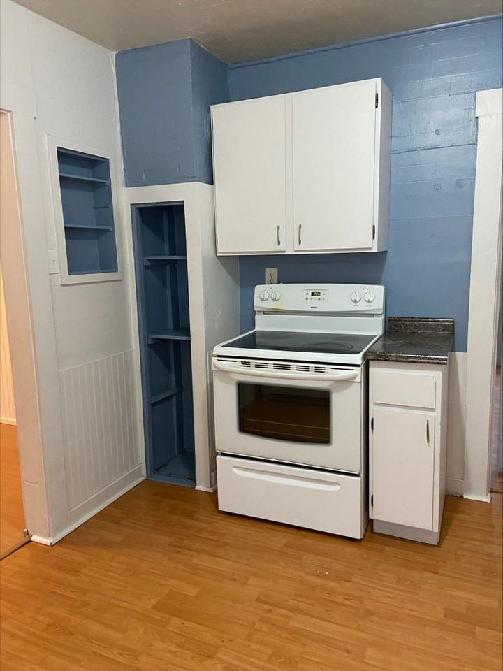 1141 8th Ave - Photo 3 of 19