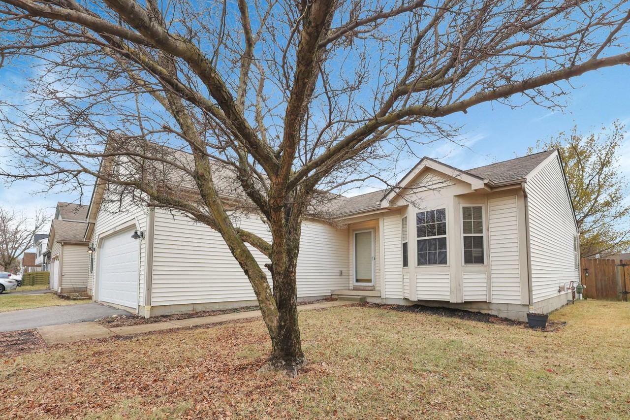 1467 Tera Alta Rd - Photo 6 of 20