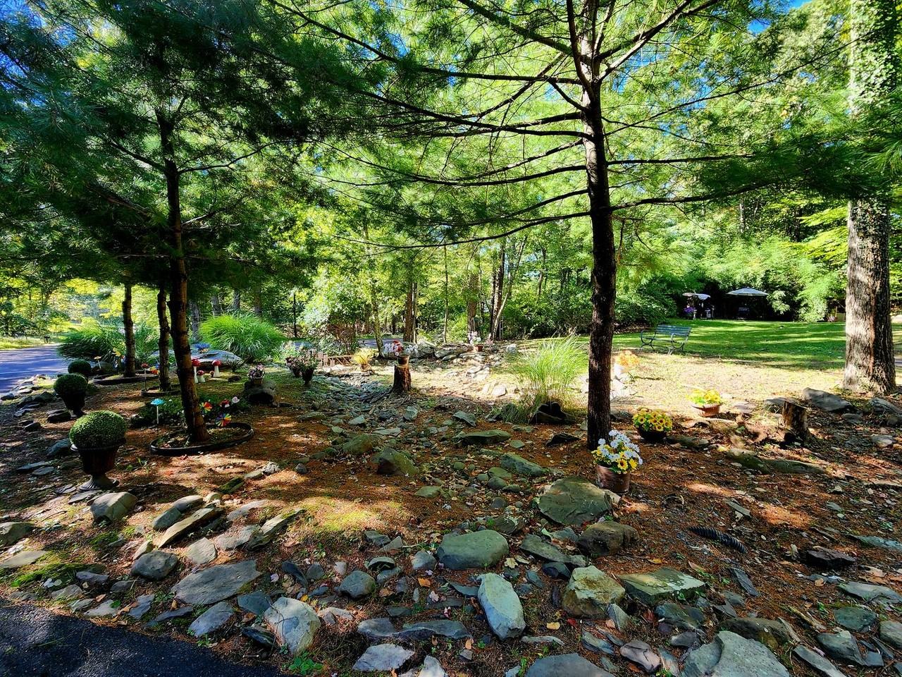 5263 Birchwood Dr - Photo 2 of 21