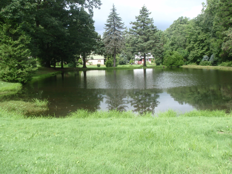 55 Dosch Ln - Photo 7 of 8