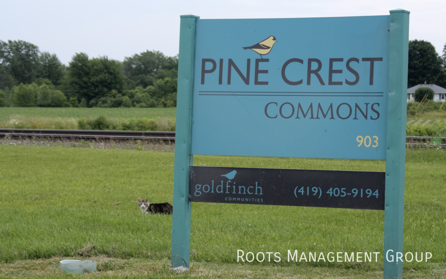 3 Locust St #3 - Photo 3 of 3