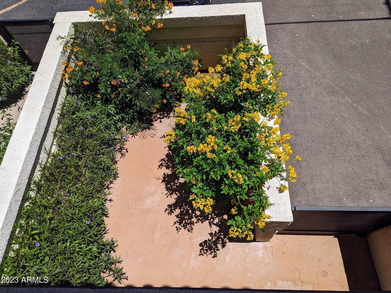 5830 N 10th St #1 - Photo 2 of 26