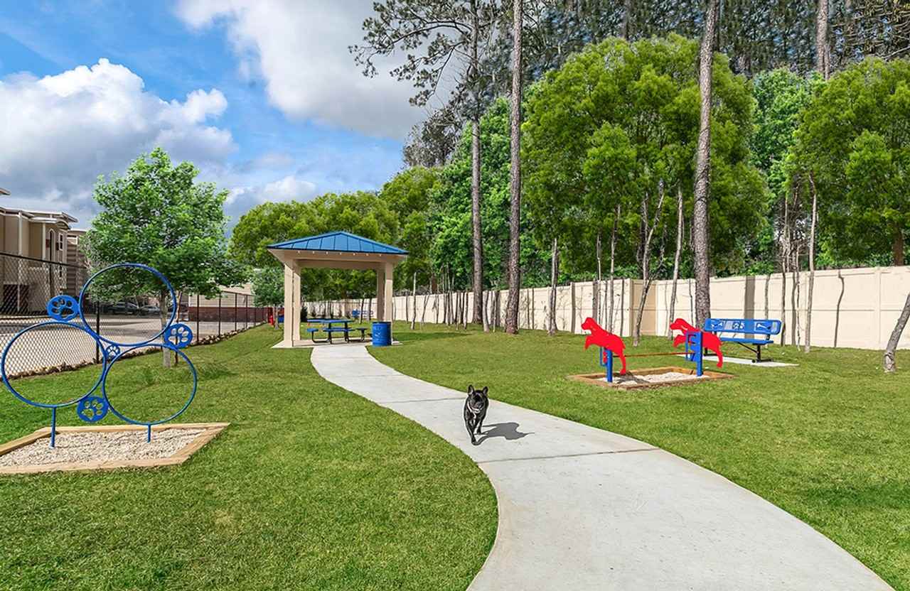 Artesia - Photo 3 of 50