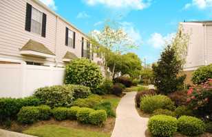 featured image of 250 Brownswitch Rd