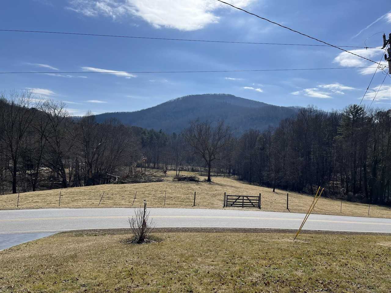 395 Terrys Gap Loop Rd - Photo 3 of 18