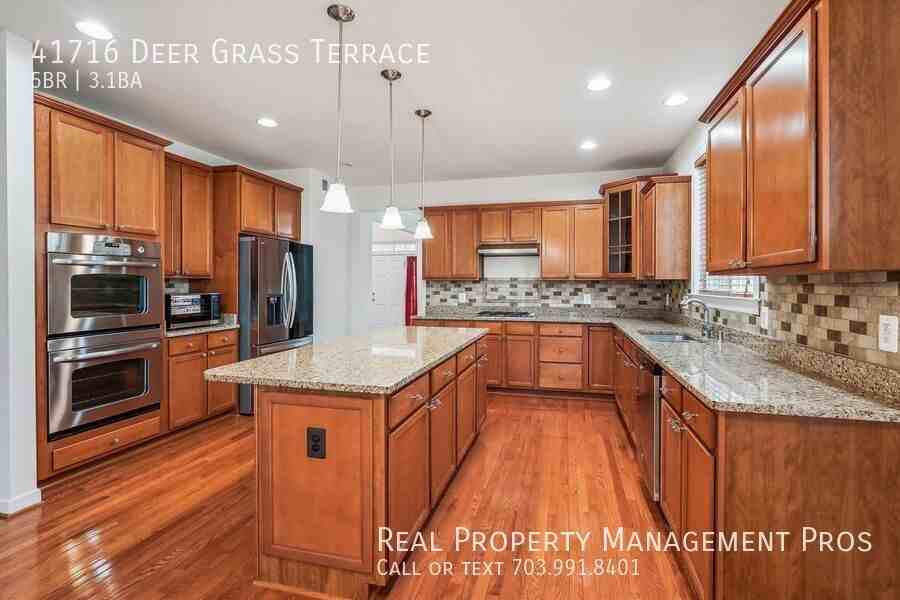 41716 Deer Grass Ter - Photo 3 of 50