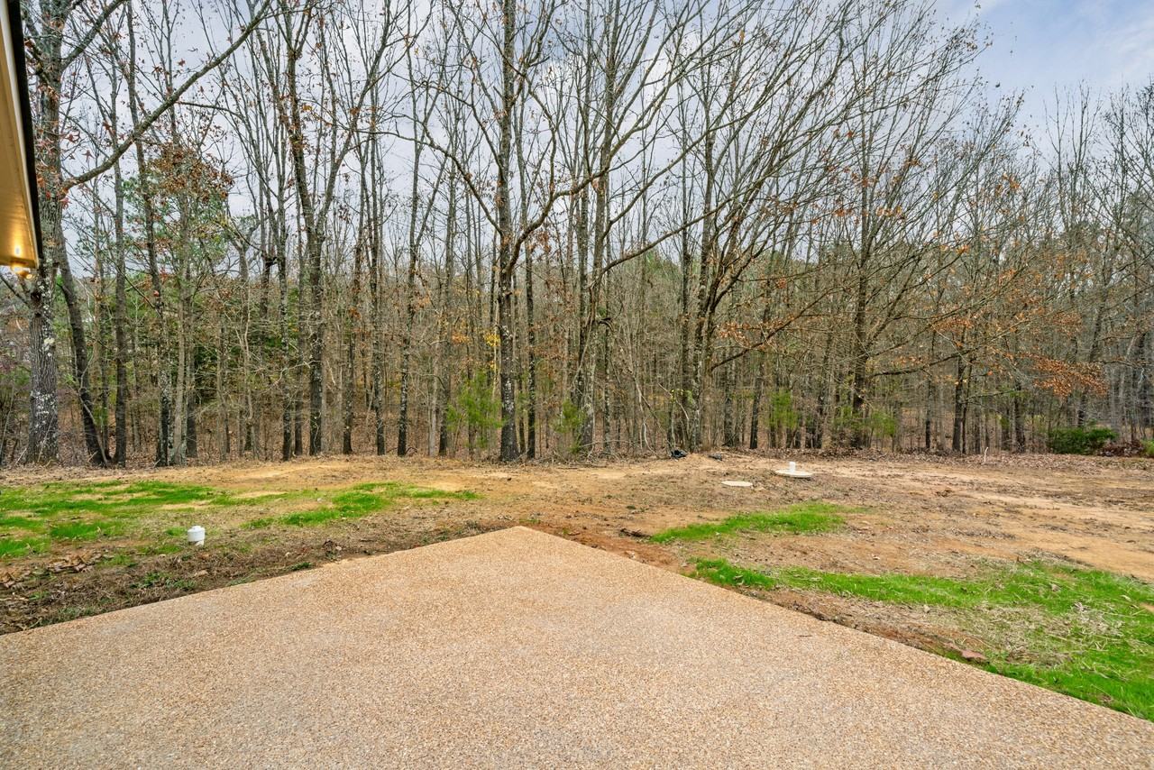 31 Scattered Oak Drive - Photo 3 of 50