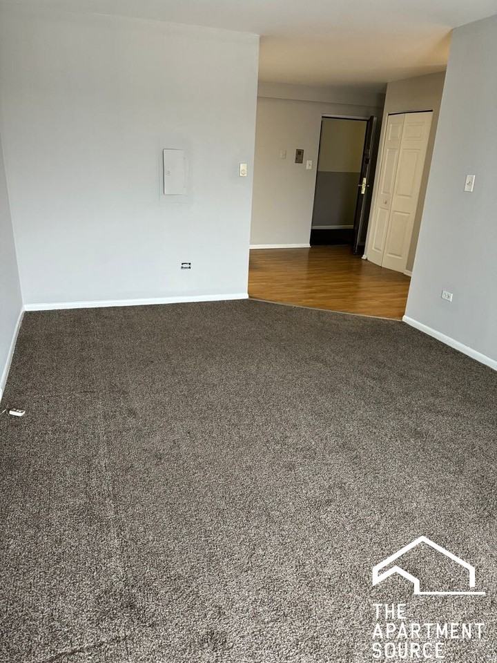 1128 Des Plaines Ave #310 - Photo 3 of 9