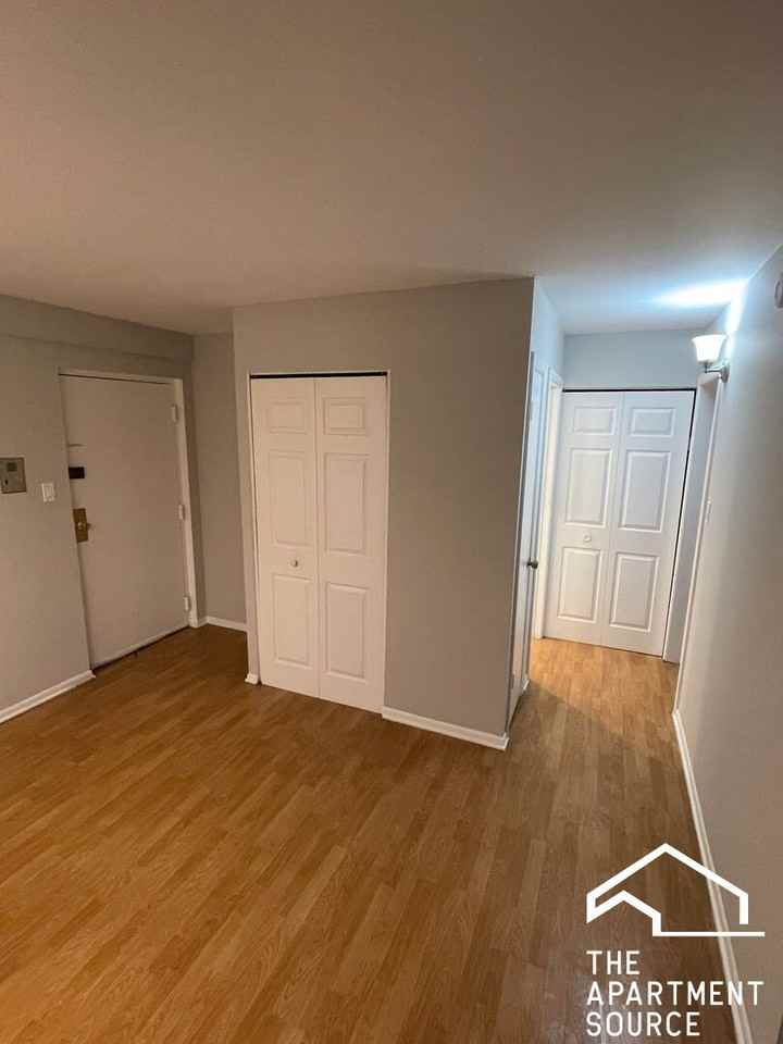 1128 Des Plaines Ave #310 - Photo 6 of 9