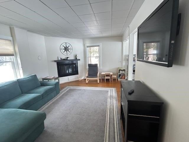 14 Hamel Rd - Photo 7 of 19