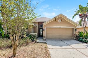 featured image of 10247 Oasis Palm Dr