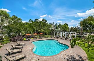 Palmetto Creek - Photo 1 of 1