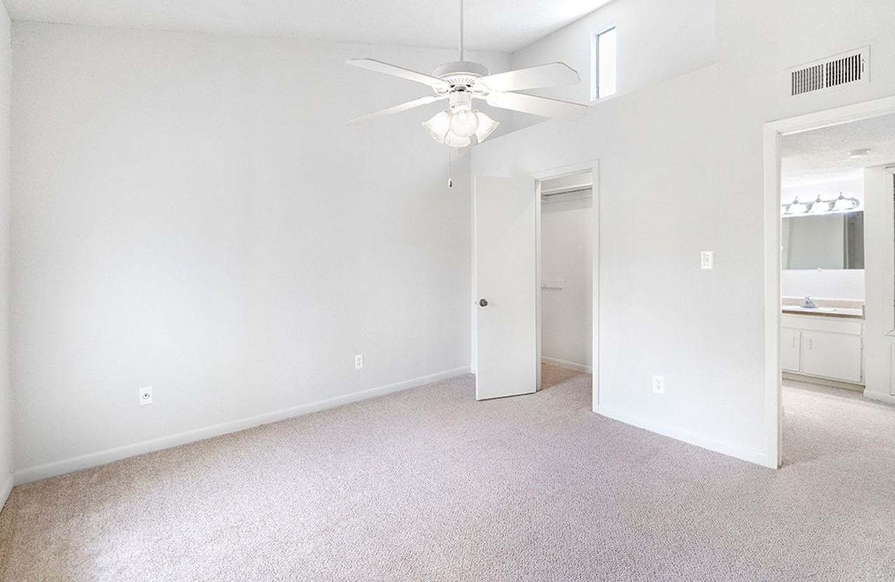 Shadows North and South - Photo 7 of 16