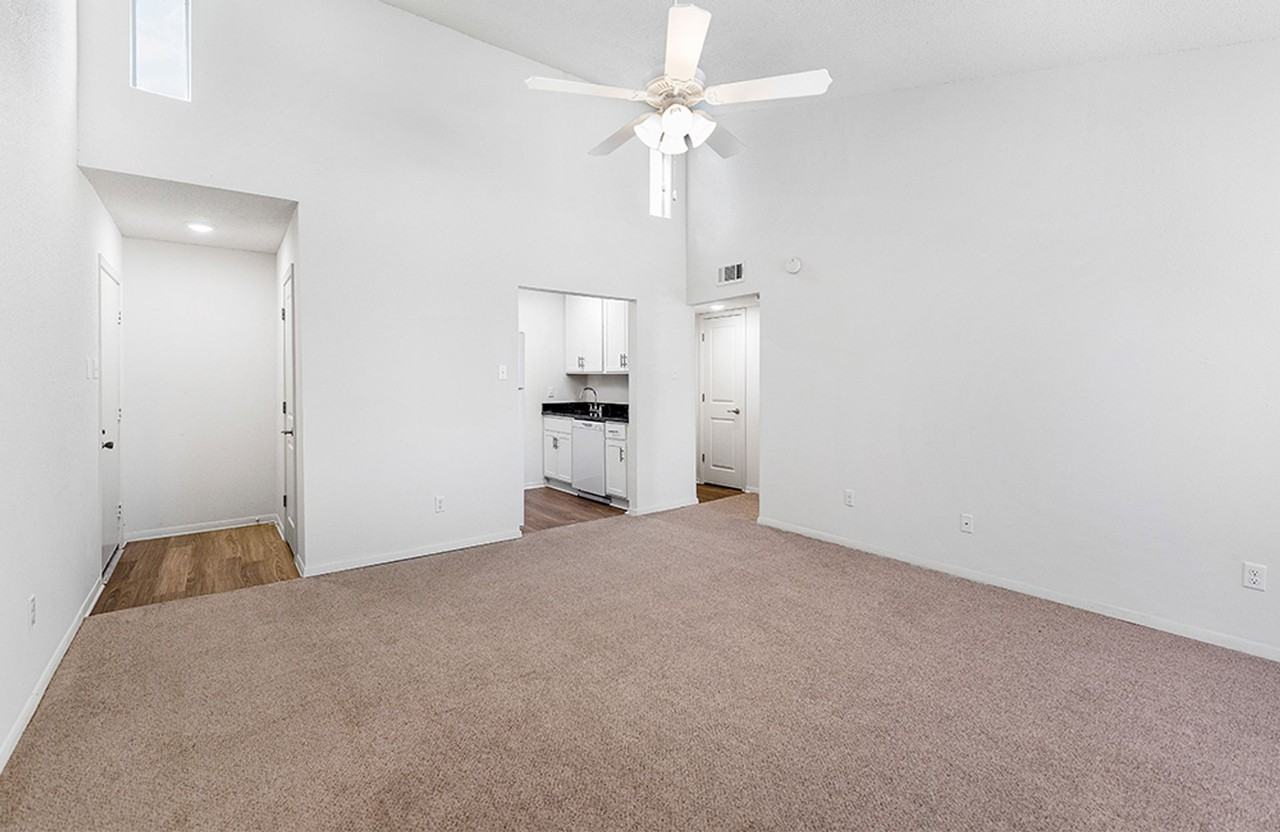 Shadows North and South - Photo 2 of 16