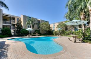 featured image of 4520 Williams Blvd