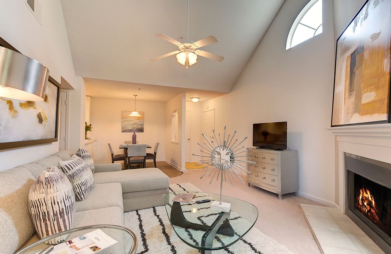 Gallery - Photo 5 of 20