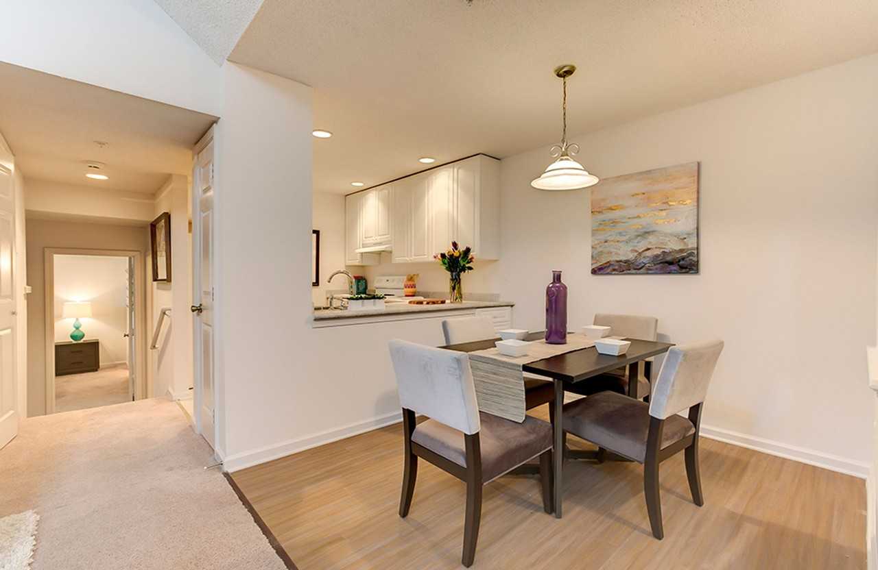 Gallery - Photo 7 of 20