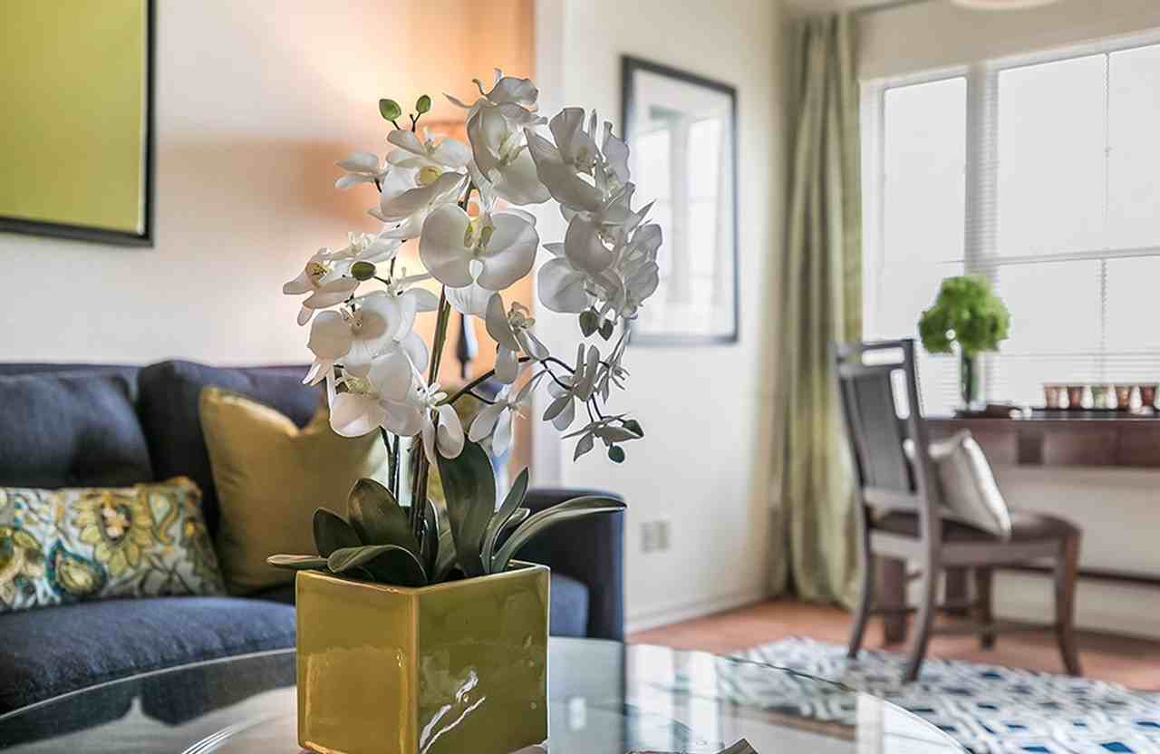 Cypress Creek - Photo 4 of 23