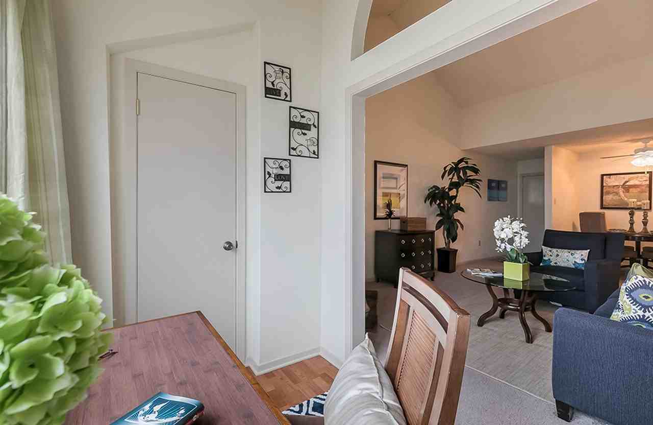 Cypress Creek - Photo 6 of 23