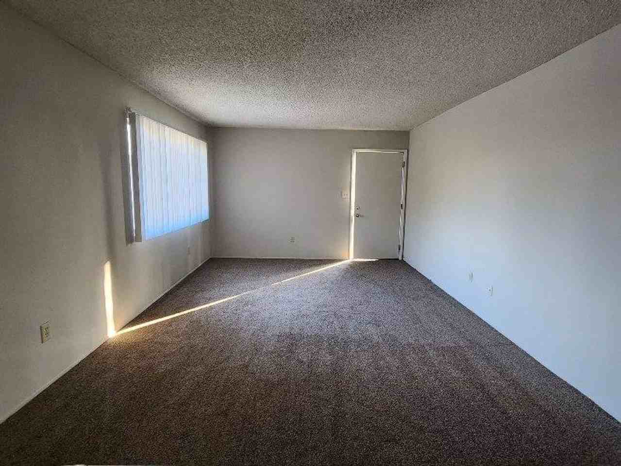 3609 Micheli Ct #C - Photo 4 of 13